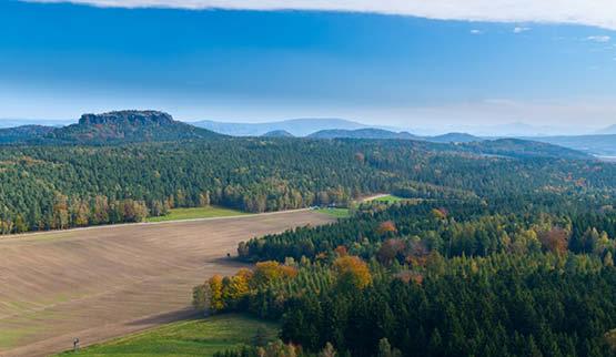 Aandachtstrekker Saksen